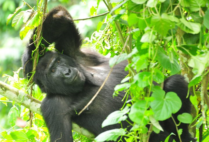 5 cornerstones of an unforgettable African travel experience