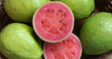 Guava Leaves Can 100% Stop Your Hair Loss and Make it Grow Like Crazy!