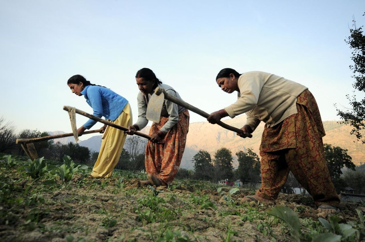 Farming program helps neighbours in rural world