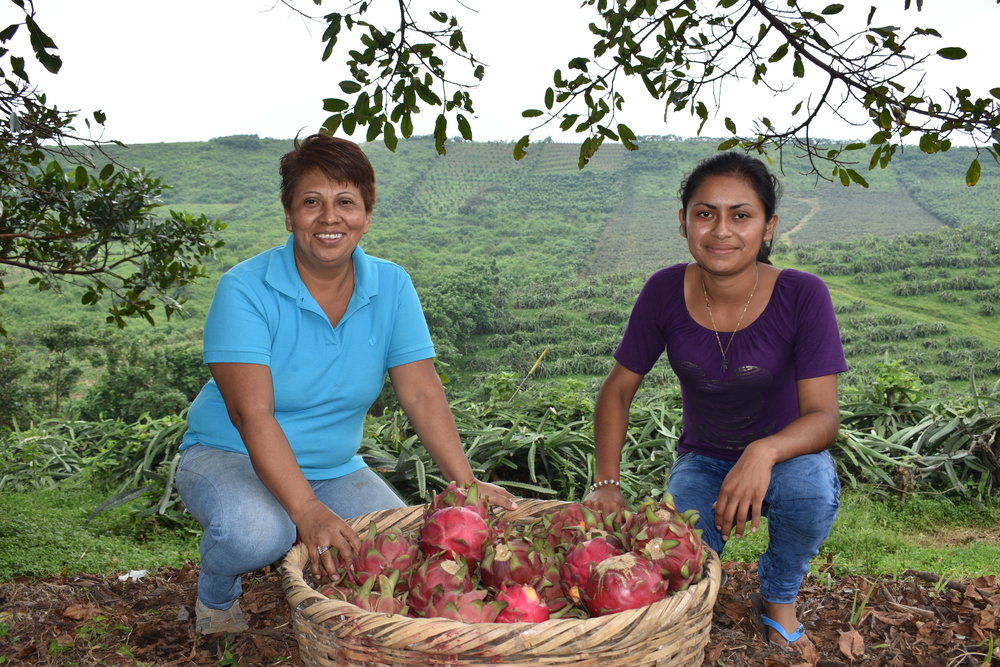 Fall in love with cool-weather gardening for a healthy, hefty homegrown harvest