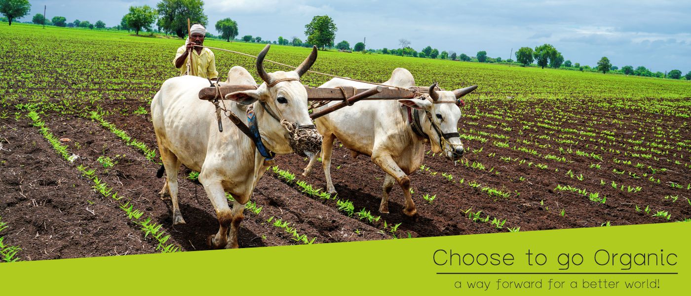 Choose Organic – A way forward for a better world!